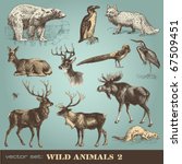 vector set: wild animals (2)