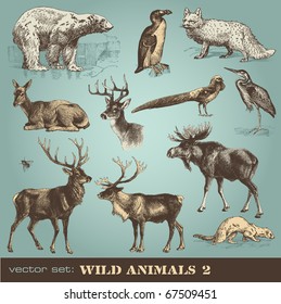 vector set: wild animals (2)