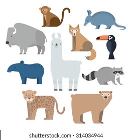 Vector set Wild animals. Lama, raccoon, tapir, armadillo, grizzly bear, coyote, buffalo, cockatoos and jaguar. North and South America. Flat style character.