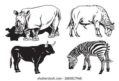 Vector set of  wild animals on white background, vector illustration