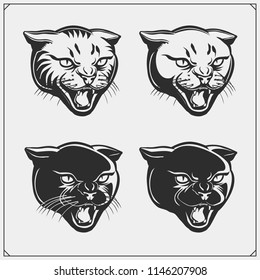 Vector set of wild cat heads.