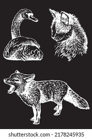Conjunto de vectores de animales salvajes y domésticos aislados en dibujo negro, gráfico