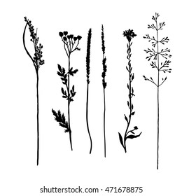 Conjunto vectorial de flores silvestres y siluetas de hierbas de cereales, plantas silvestres aisladas, elementos florales monocromos negros