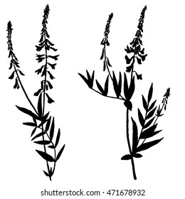 Vector set of wild flowers silhouettes, isolated wild plants, black monochrome floral elements