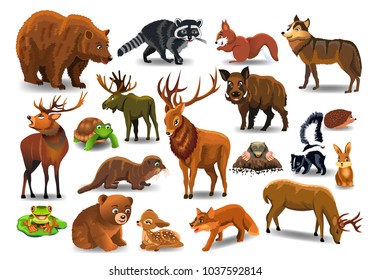 Vector Set Of Wild Forest Animals Isolated On A White Background