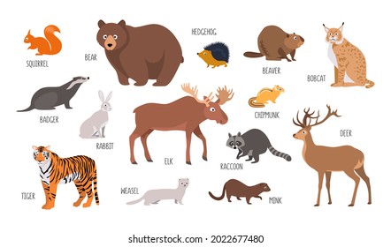 Vector set of wild forest animals: bear, beaver, elk, deer, badger and others. Illustration isolated on white background flat style