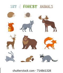 Vector set of wild forest animals made in cartoon style. Hedgehog, snail, wolf, beaver, deer, fox, hare, squirrel, moose, bear and raccoon. Zoo cartoon collection isolated on white background.