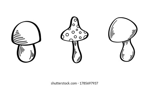 Vector set with wild mushrooms. Inedible mushrooms. Edible mushrooms. Decorative toadstool, white mushroom. Stylized illustration. Halloween, an autumn holiday. Black lines on a white background.