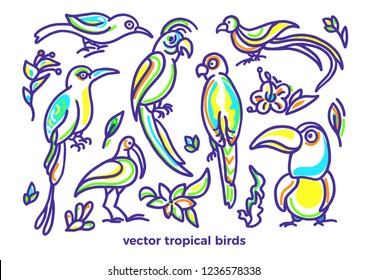 Vector set of wild tropical bird, color plant, nature leaves, flower. Cockatoo, toucan, parrot, macaw, quetzal. Hand drawn paradise summer sketch Art line illustration Graphic simple design isolated