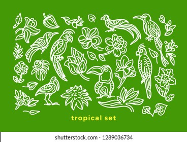 Vector set of wild tropical bird, nature leaf, flower in bloom. Art sketch illustration Exotic cockatoo, toucan, parrot Hand drawn pattern, summer jungle, green paradise Graphic design Element isolate