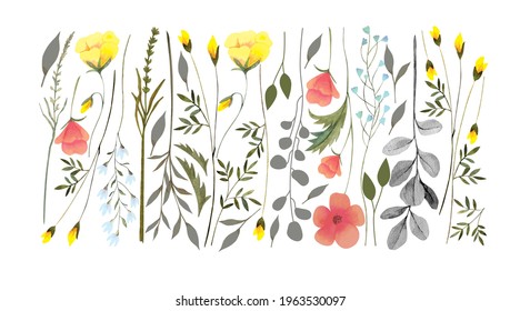 vector set of wildflowers and herbs in watercolor vitnage style isolated on white background