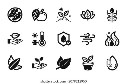 Vector set of Windy weather, Fire energy and Leaf icons simple set. Organic tested, Helping hand and Apple icons. Weather thermometer, Sunflower seed and Waterproof signs. Vector