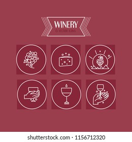 Vector set wine icons. Modern line style. Collection of winery objects