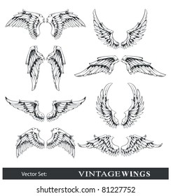 Vector set of wings. All elements are grouped.