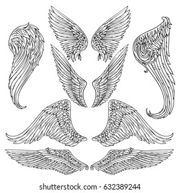 Vector set of  wings.  Isolated vector illustration. The illustration is fully editable and can be used for heraldic, mascot or tattoo design and decoration.  