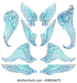 Vector set of wings. Isolated vector illustration. The illustration is fully editable and can be used for heraldic, mascot or tattoo design and decoration.