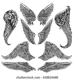 Vector set of wings. Isolated vector illustration. The illustration is fully editable and can be used for heraldic, mascot or tattoo design and decoration.