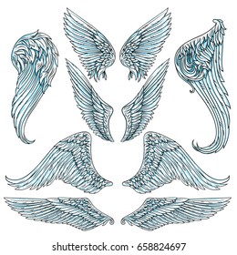 Vector set of wings. Isolated vector illustration. The illustration is fully editable and can be used for heraldic, mascot or tattoo design and decoration.