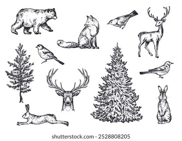 Vector set of winter forest animals and trees. Vintage collection