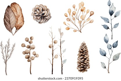 Vector set of winter nature elements, clip-art, for design