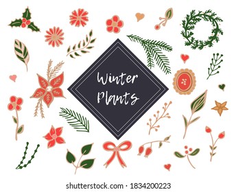 Vector set of winter plants and flowers. Kids illustration. Scrapbook collection. Winter background.
