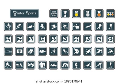 Vector set of winter sports icons.