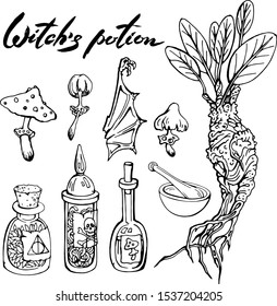 Vector set of witch potion ingredients. Poisoned mushrooms, glass bottles with herbs and liquids, bat wing and mandrake root. Linear , hand drawn isolated on white elements for halloween magic design.