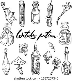 Vector set of witch potion ingredients. Poisoned mushrooms, glass bottles with herbs and liquids, bat wing vox candle . Linear , hand drawn isolated on white elements for halloween magic design.