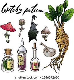 Vector set with witch potion ingredients: bat wing, glass bottles with multicolor liquids, poisoned mushrooms (fly agaric, grebe) ,mandrake root , mortar with pestle, Halloween, fairy tale. Isolated.