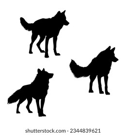 Vector set of wolf illustration. silhouette of wolves isolated on white background. icon sheet of a wolf. icon pack of a black wolf.