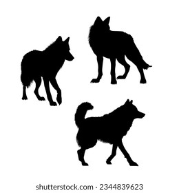 Vector set of wolf illustration. silhouette of wolves isolated on white background. icon sheet of a wolf. icon pack of a black wolf.