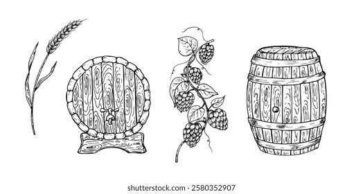 Vector set with wooden barrel for wine, beer, whiskey with a tap. Graphic vintage illustration common hop, wheat isolated on background. Hand drawn wood oak keg line sketch. For designers, prints