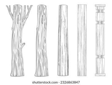 Vector. Set of wooden pillars columns tree trunk. Logs and branches