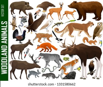 vector set of woodland animals