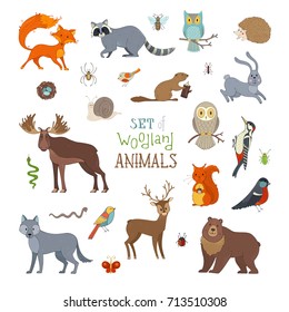 Vector set of woodland animals made in cartoon style. Cute animals isolated on white background. Moose, bear, fox, wolf, deer, owl, hare, squirrel, raccoon, hedgehog and other mammals and birds.