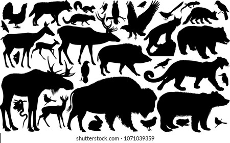 vector set of woodland animals silhouettes