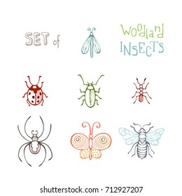Vector set of woodland insects in linear style. Hand-drawn butterfly, bee, bug, ladybird, ant, spider and moth isolated on white background.