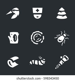 Vector Set of Woodpecker Icons.