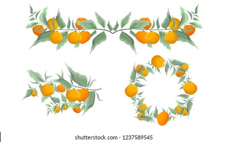 Vector set of wreath and borders. Tangerine fruit, green leaves. All elements are isolated.