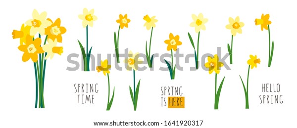 Vector set of yellow daffodils isolated on\
white background. Early spring garden flowers. Bouquet of\
narcissuses. Clip art for bright festive greeting card, poster,\
banner. Handwritten\
lettering