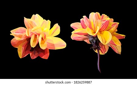 Vector set of yellow flower isolated on black background. Bright sunny summer detailed and accurate design in low poly style. Floral design element.