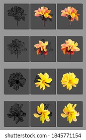Vector set of yellow flower isolated on black background. Bright sunny summer detailed and accurate design in low poly style. Floral design element.