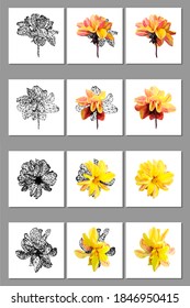 Vector set of yellow flower isolated on white background. Bright sunny summer detailed and accurate design in low poly style. Floral design element.