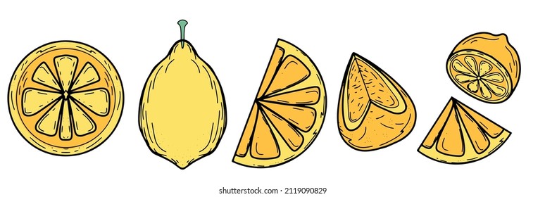 Vector set with yellow lemon from different angles, whole, slice, half, quarter. Juicy elements to create a summer design. Fresh fruit, vitamin C. Banner, postcard, signboard, decoration, printing