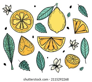 Vector set with yellow lemon and green leaves for summer design. Collection of juicy solar decorative elements. Fresh fruit, vitamin C. Modern design. Banner, postcard, signboard, decoration, printing