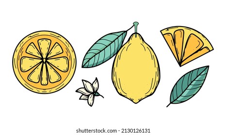 Vektor-Set mit gelber Zitrone und grünen Blättern für Sommerdesign. Kollektion von saftigen Solardekorationselementen. Frisches Obst, Vitamin C. Modernes Design. Banner, Postkarte, Zeichenbrett, Dekoration, Druck