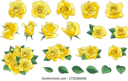 Vector set of Yellow Roses