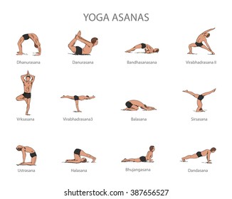 Vector set of yoga poses isolated on white background. Human body stretching positions. Asana yoga concept.