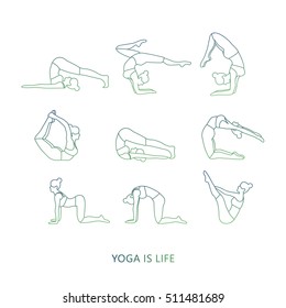 Vector set of yoga poses in a linear style. Women practicing yoga. Yoga postures and Assan.