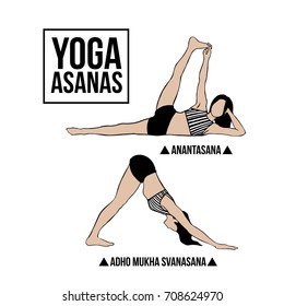 Vector set of yoga poses on white background. Women stretching positions set. Asana yoga concept. Woman doing yoga exercises set.